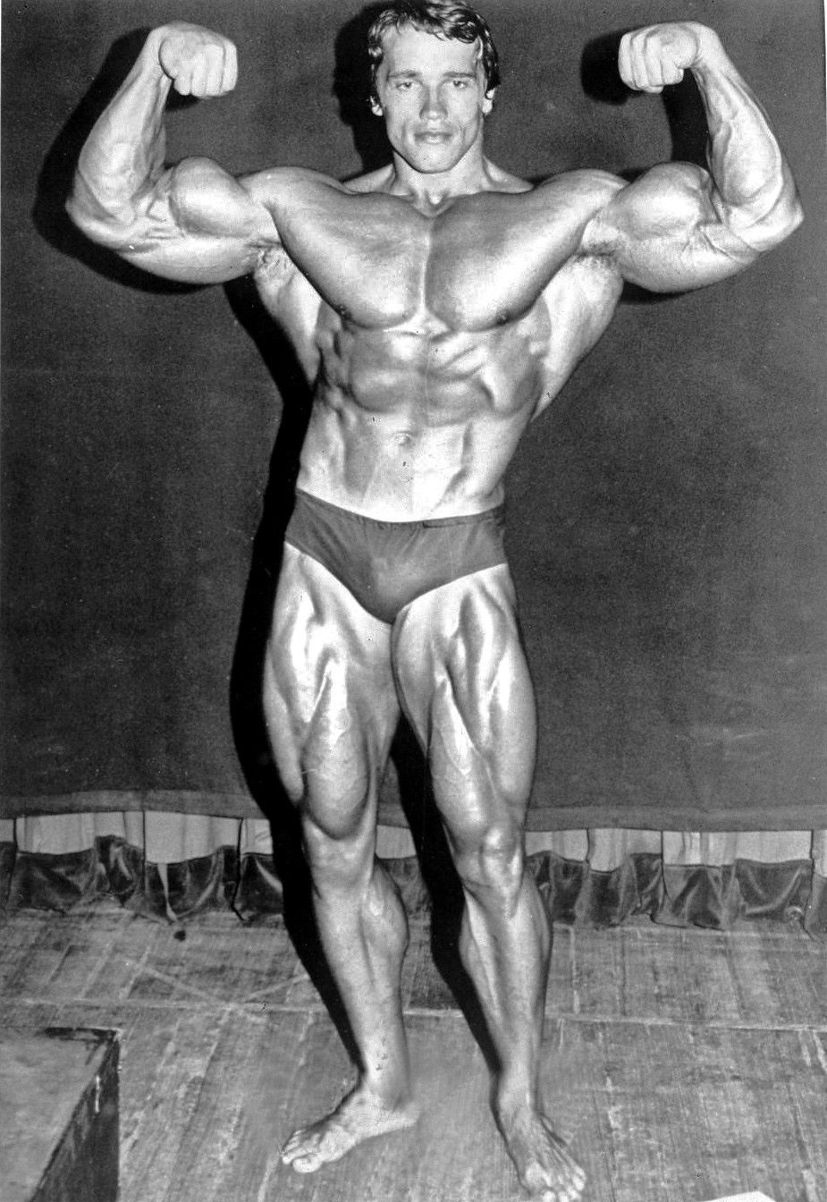 Arnold: o Mr. Olympia