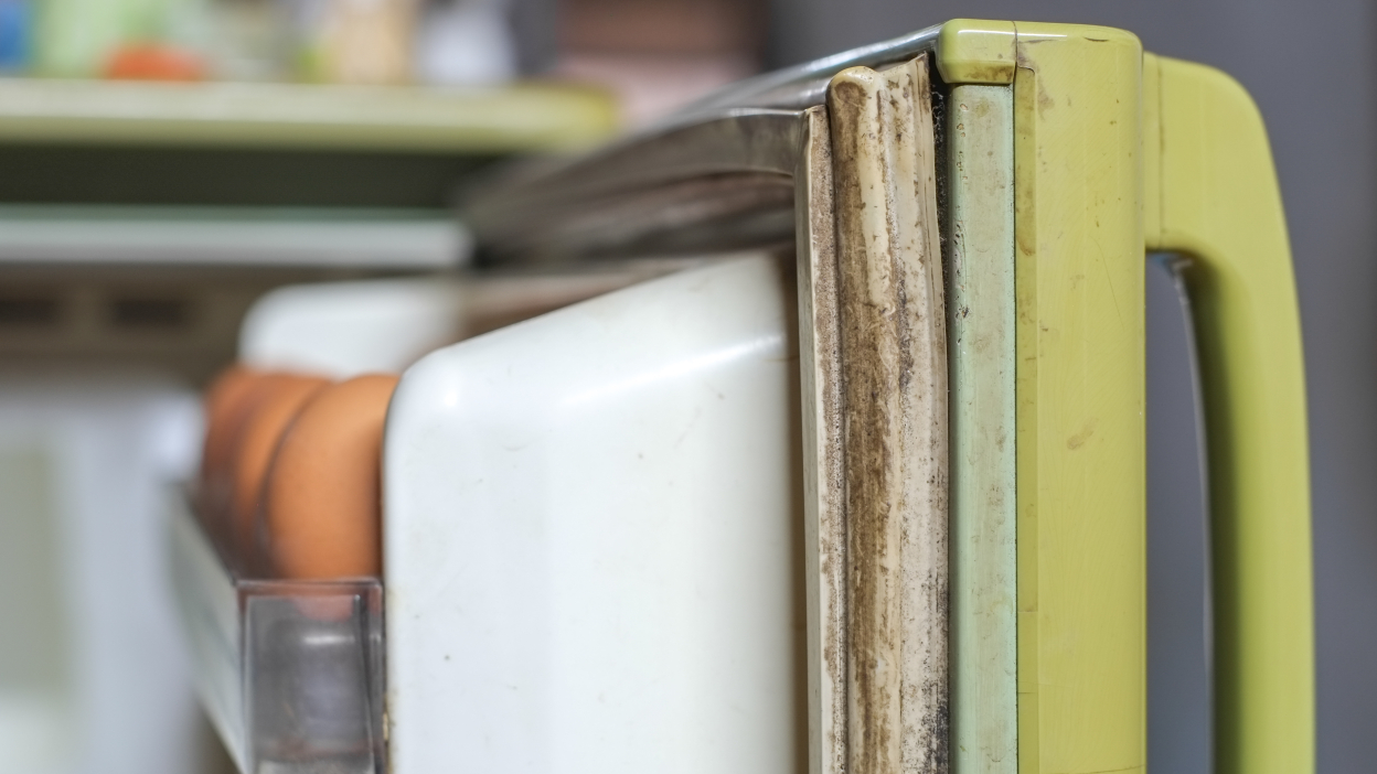 Geladeira vazando ar? Veja como consertar a vedação da porta em minutos!